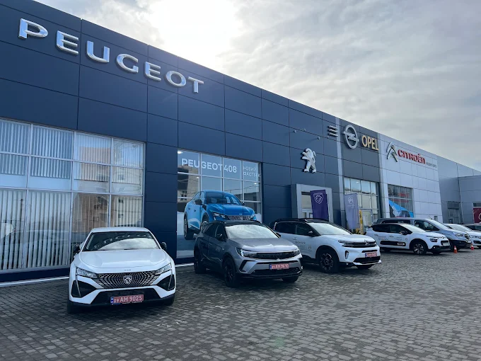 Комплексна автоматизація дилерського центру Peugeot «Модерн-Авто» (Облік, сервіс, касова дисципліна та аналітика)
